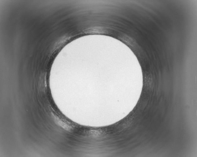 X0000078880302200612111746