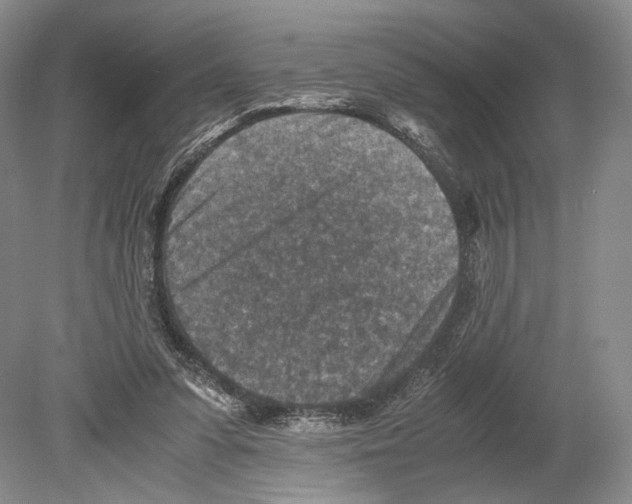 X0000078880303200612111746