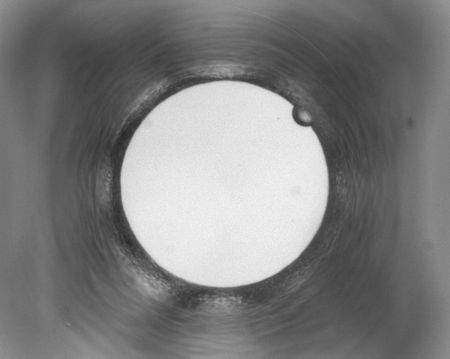 X0000078880304200612111746