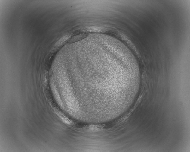 X0000078880305200612111746