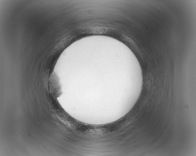 X0000078880307200612111746