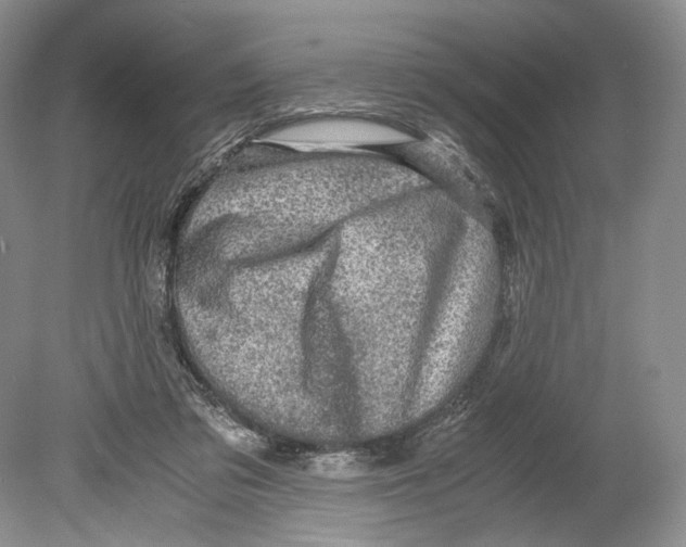 X0000078880309200612111746