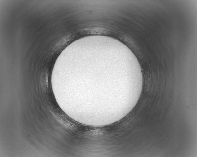 X0000078880310200612111746