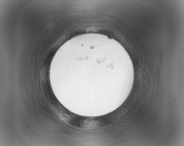 X0000078880311200612111746