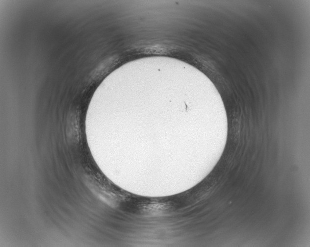 X0000078880312200612111746