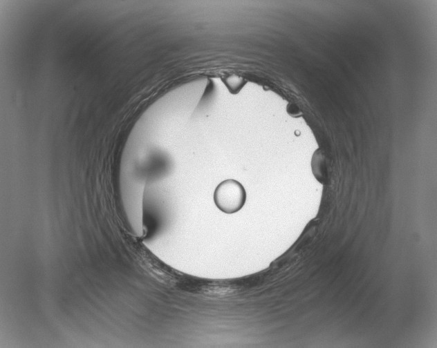 X0000078880313200612111746