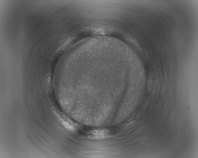 X0000078880314200612111746