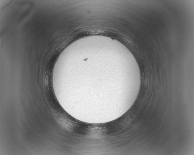 X0000078880315200612111746