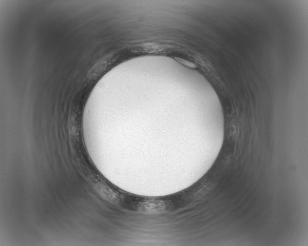 X0000078880317200612111746