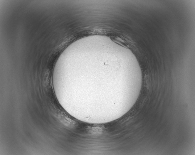 X0000078880318200612111746