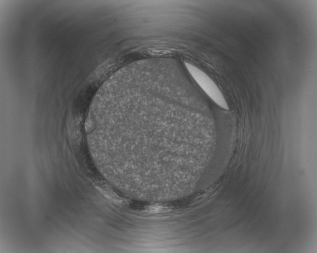 X0000078880319200612111746