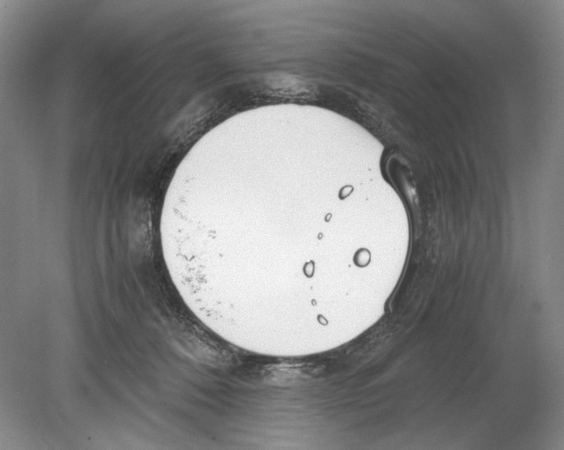 X0000078880320200612111746