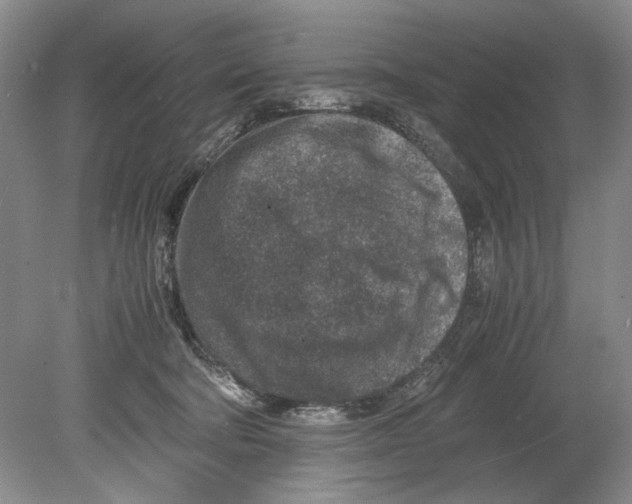 X0000078880322200612111746