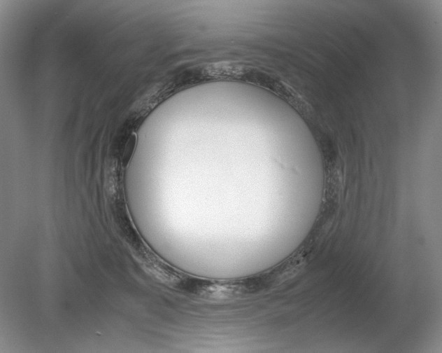 X0000078880323200612111746