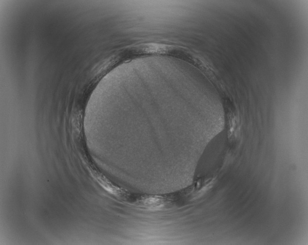 X0000078880325200612111746