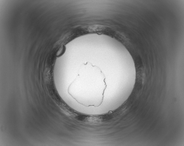 X0000078880327200612111746