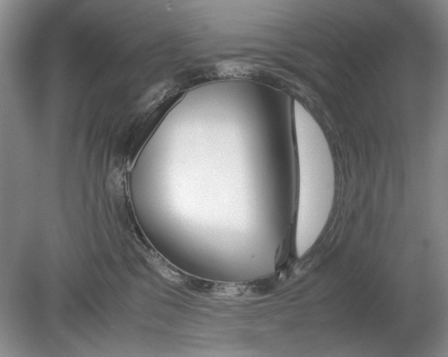 X0000078880329200612111746