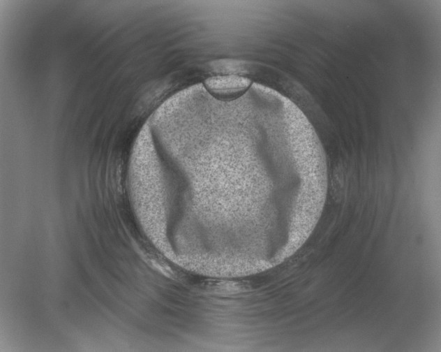 X0000078880330200612111746