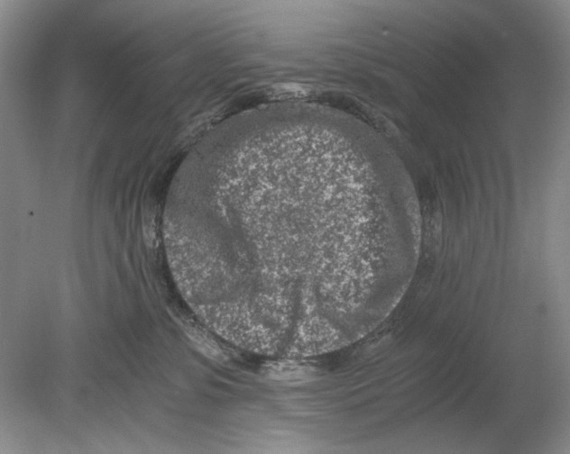 X0000078880331200612111746