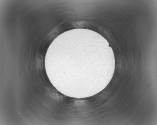 X0000078880332200612111746