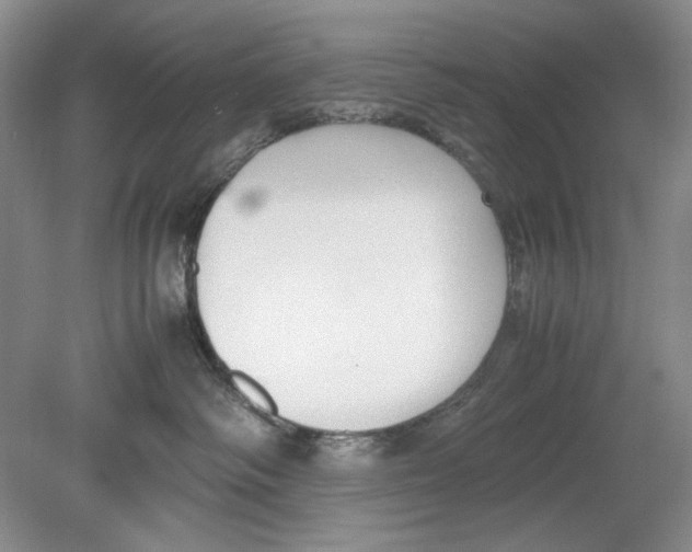 X0000078880334200612111746