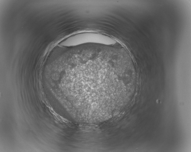 X0000078880337200612111745