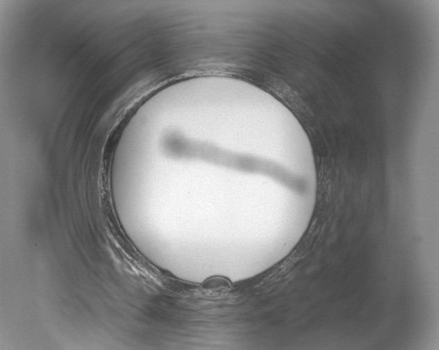 X0000078880338200612111745