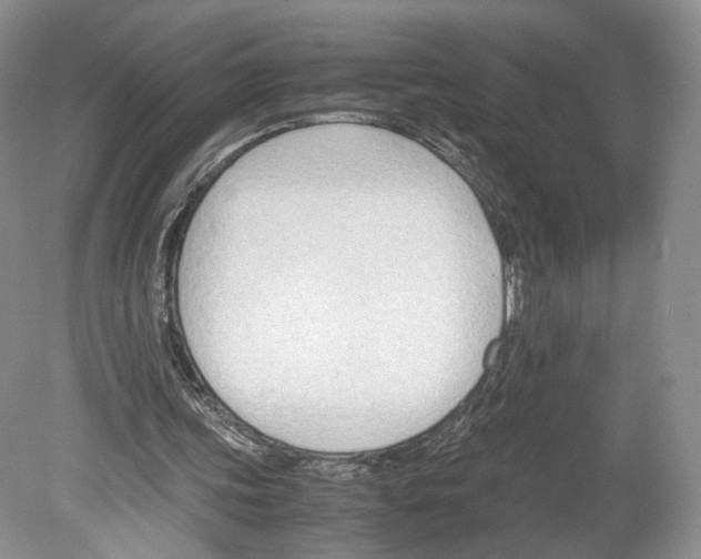 X0000078880339200612111745