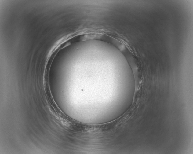 X0000078880340200612111745