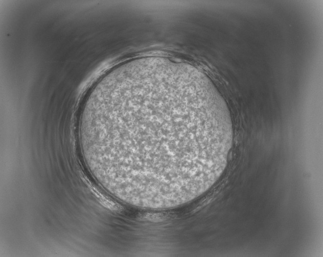 X0000078880341200612111745