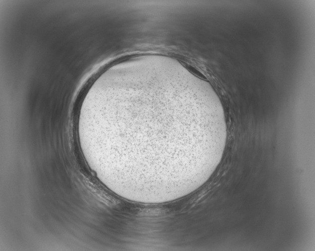 X0000078880342200612111745