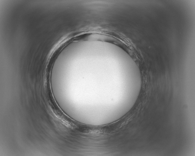 X0000078880344200612111745