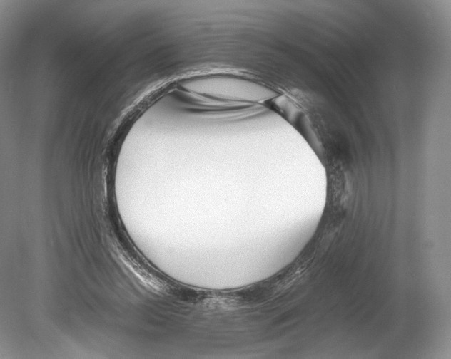 X0000078880350200612111745