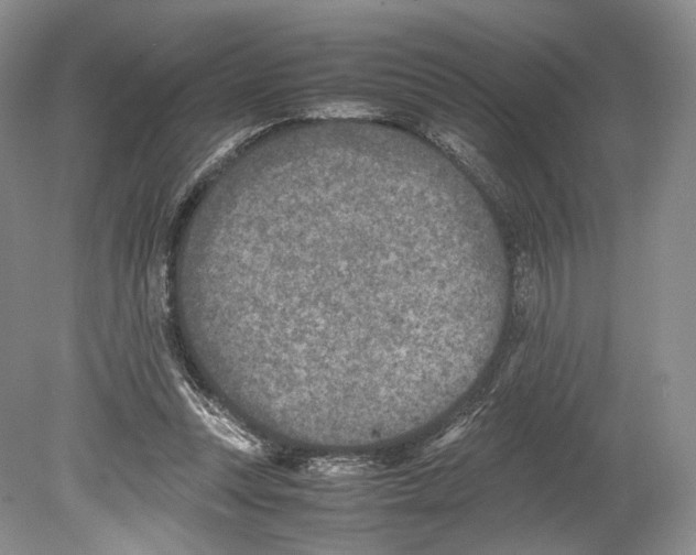 X0000078880351200612111745