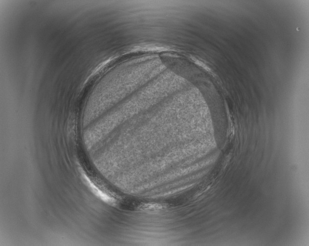 X0000078880352200612111745