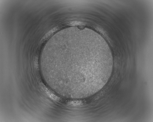 X0000078880353200612111745