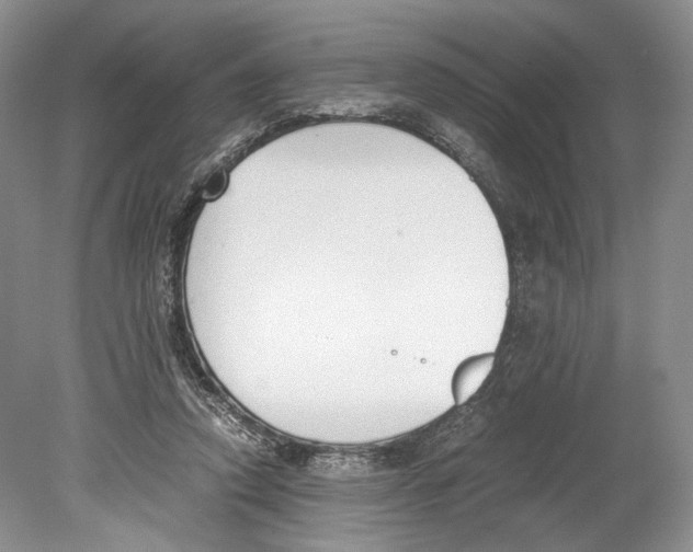 X0000078880354200612111745