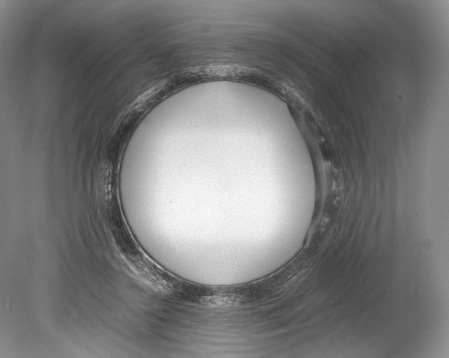 X0000078880356200612111745