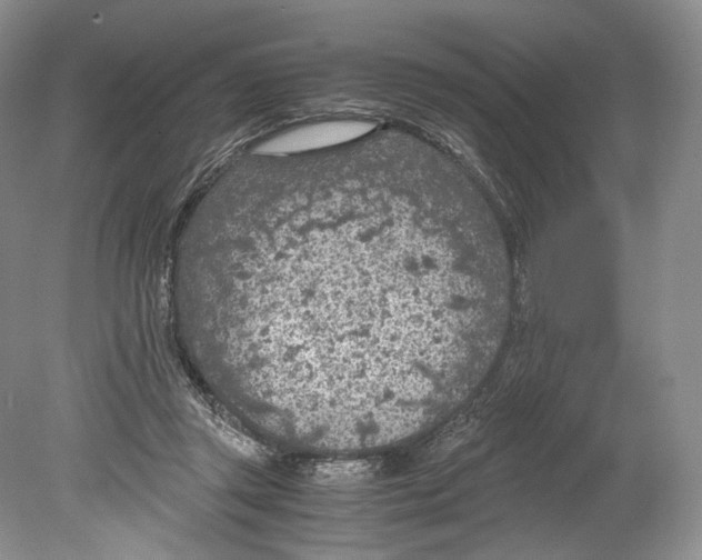 X0000078880357200612111745