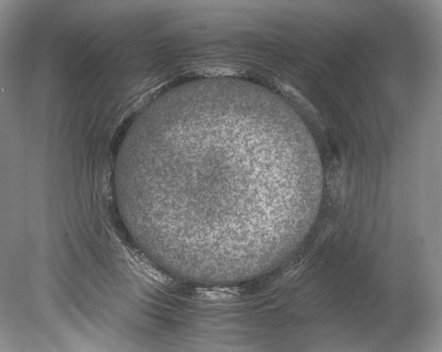 X0000078880359200612111745