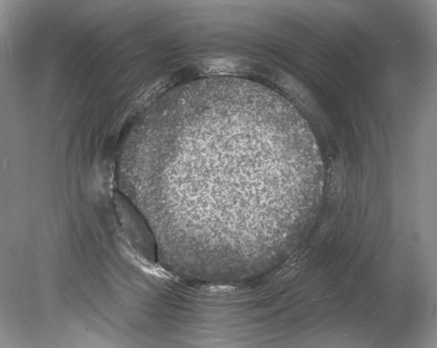 X0000078880361200612111745