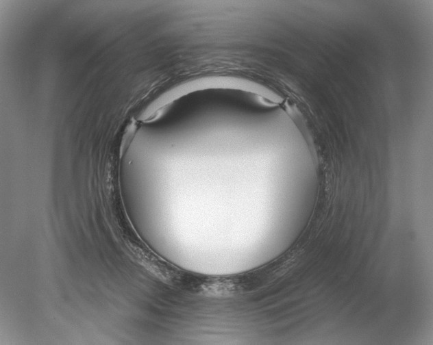 X0000078880362200612111745