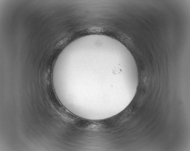 X0000078880364200612111745