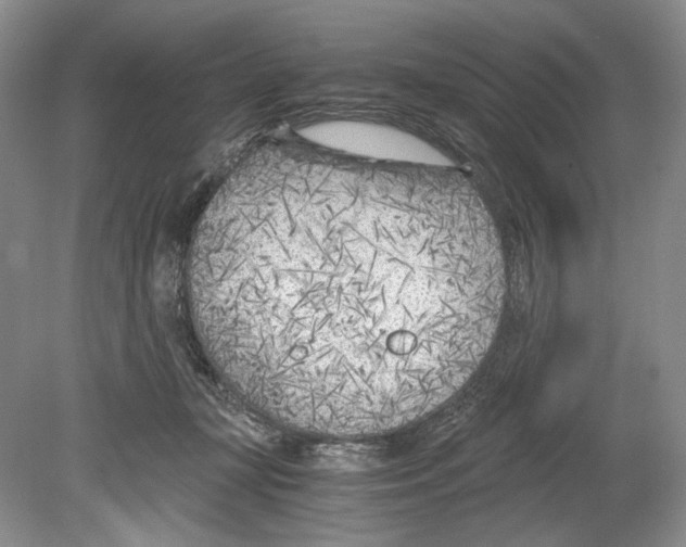 X0000078880367200612111745