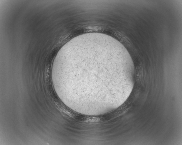 X0000078880369200612111745