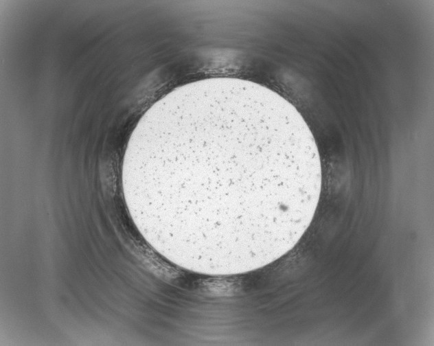 X0000078880370200612111745