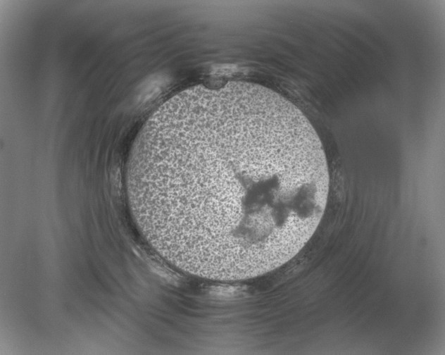 X0000078880375200612111745