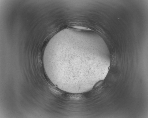 X0000078880377200612111746