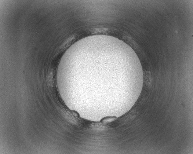 X0000078880378200612111746