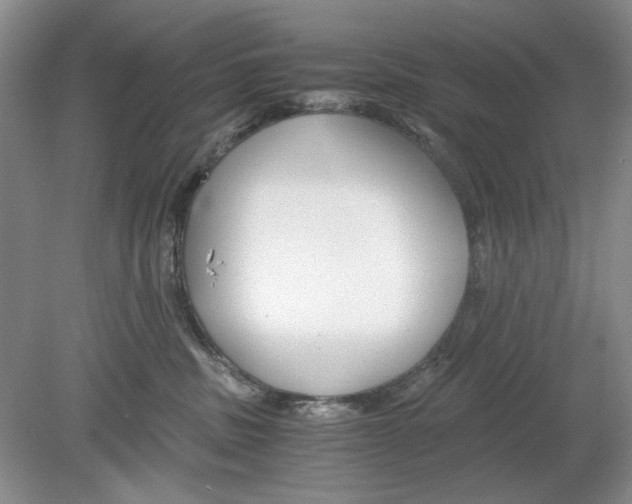 X0000078880379200612111746